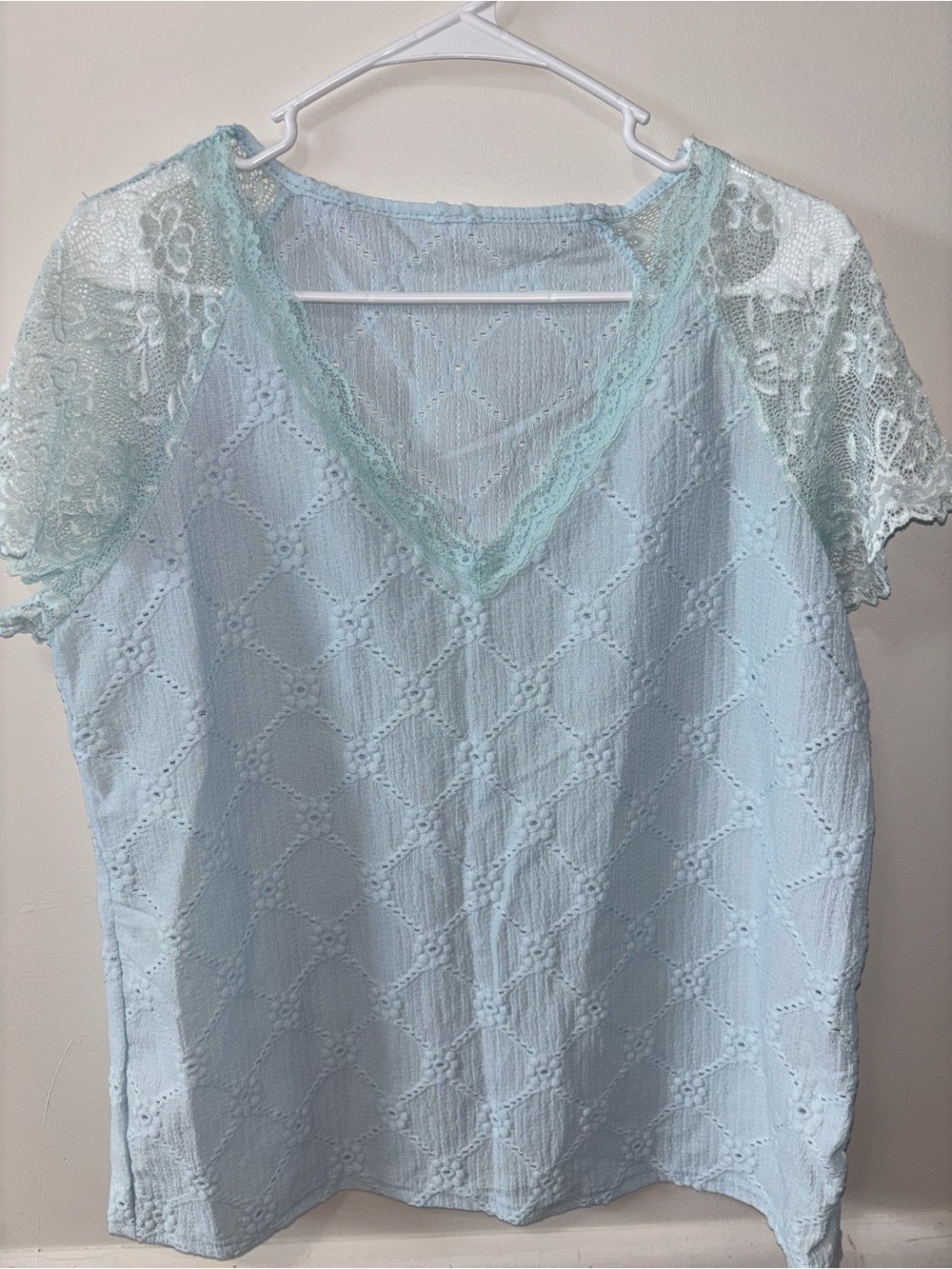 SHEIN Pale Blue Lace V-Neck Blouse